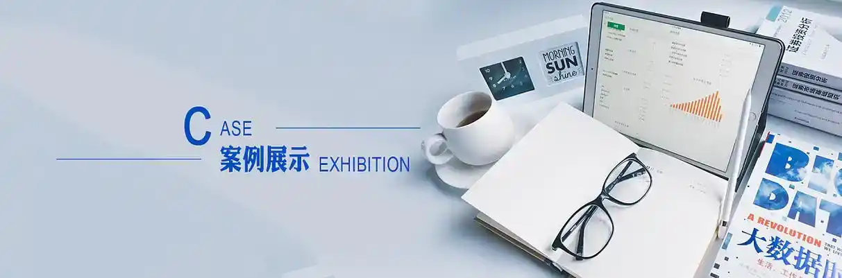 田东县软件开发